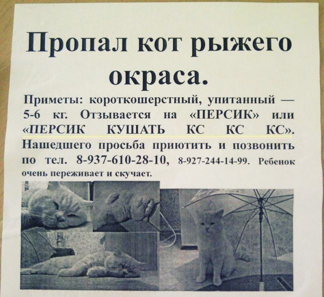 15 творческих объявлений 15 творческих объявлений юмор, креатив, объявления
