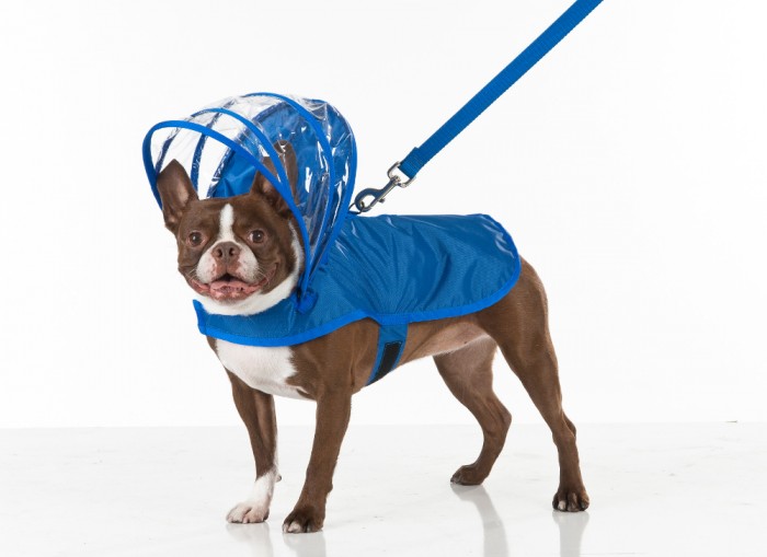 dog_raincoat_umbrella_hood_01.jpg