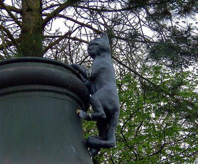 ���������� �������, ����������, ��������, ��������.