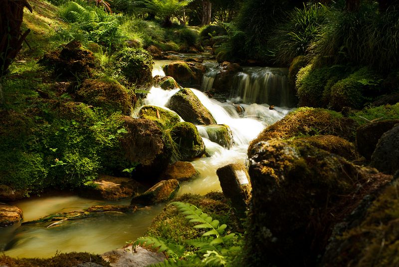 Азорские острова - места нетронутой природы