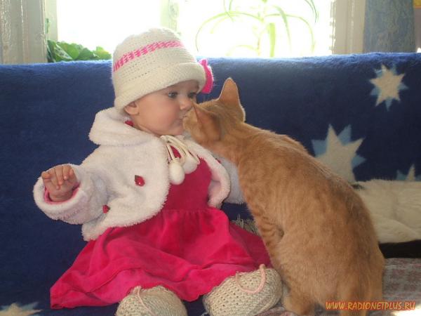 Забавные животные:)