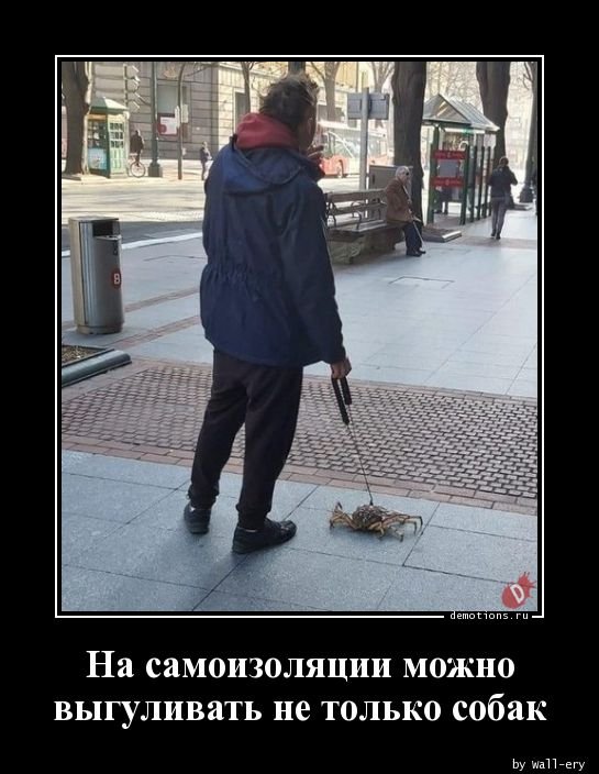 Прикольных демотиваторов вам в ленту