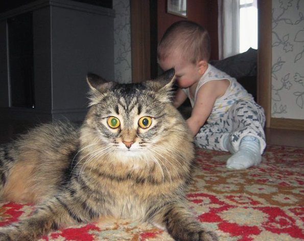 15 безудержно веселых снимков детишек