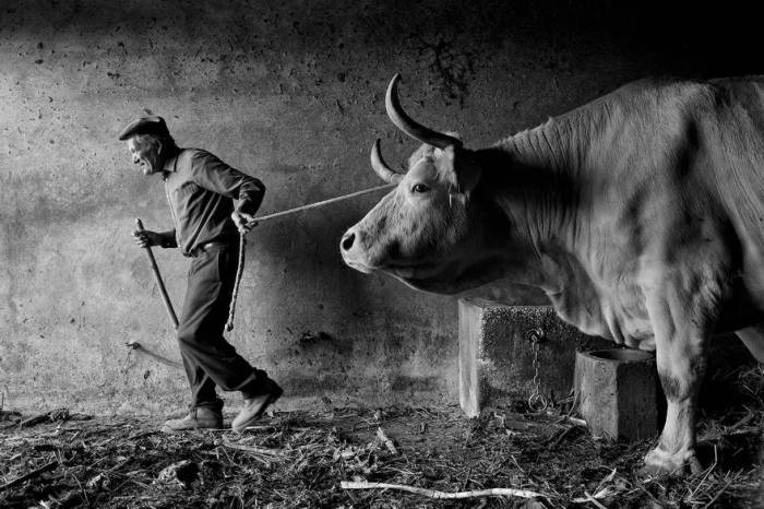 Автор фотографии: Хорхе Бацелар (Jorge Bacelar). Автор фотографии: Хорхе Бацелар (Jorge Bacelar).