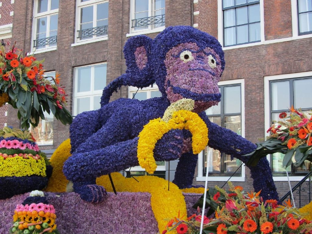 NewPix. ru -    Bloemencorso