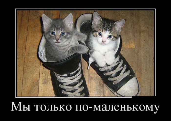 Прикольные пятничные демотиваторы (10 фото) Прикольные пятничные демотиваторы (10 фото)