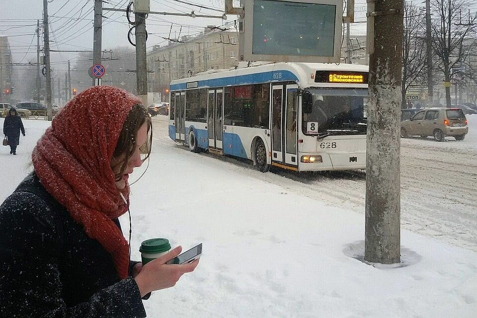 Фото: Яндекс Картинки