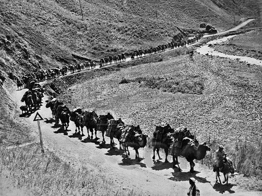 Караван на Памире — ущелье. 1930 г. СССР, история, фото