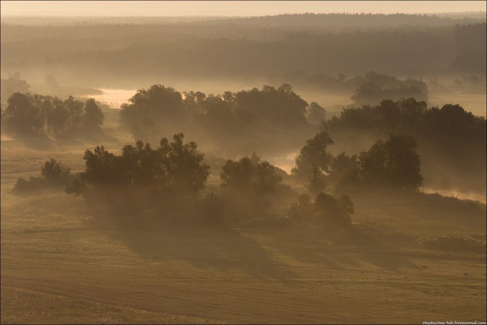 fog22 Королевство туманов