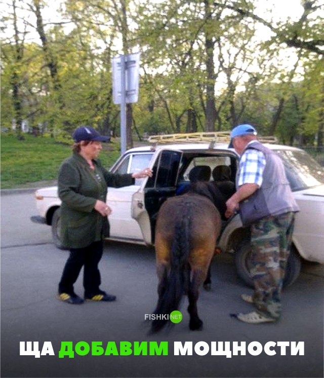 Свежая подборка автоприколов Свежая подборка автоприколов авто, автоприколы, приколы