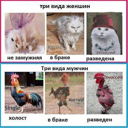 Счастье человека не в том, что ему дано, а в умении всем этим успешно распорядиться. Счастье человека не в том, что ему дано, а в умении всем этим успешно распорядиться.