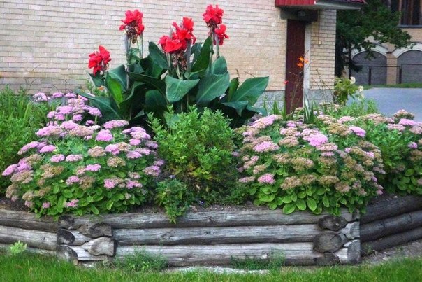 Канны ландшафтный дизайн Канны ландшафтный дизайн