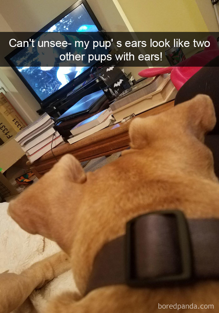 Dog Snapchat