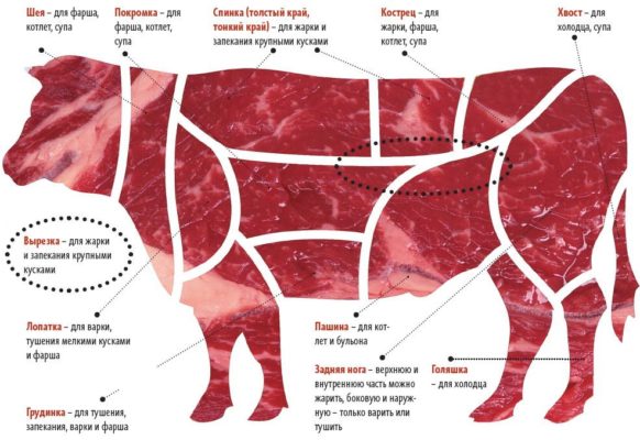 Выберите кусок мяса — и мы расскажем, что из него лучше всего приготовить!