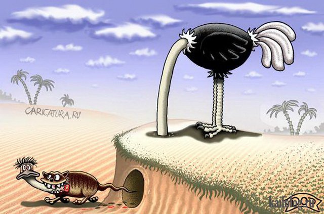 Картинки и карикатуры года (50 картинок) Картинки и карикатуры года (50 картинок)