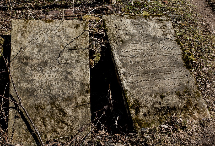 DSC_7107 DSC_7107