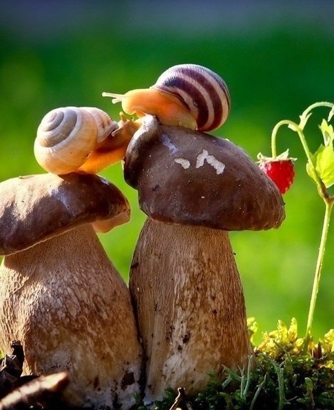 Коллекция позитивных фотографий №12 Коллекция позитивных фотографий №12