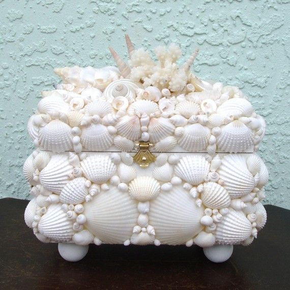 Seashell коробке