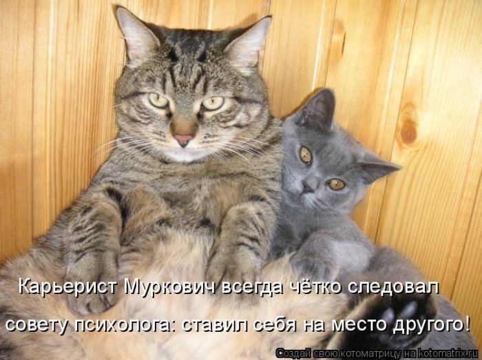 Мысли в слух :)