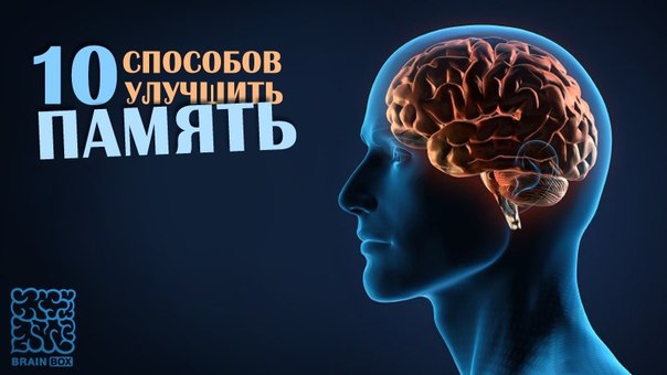Как связано развитие мозга и совершенствование труда 190