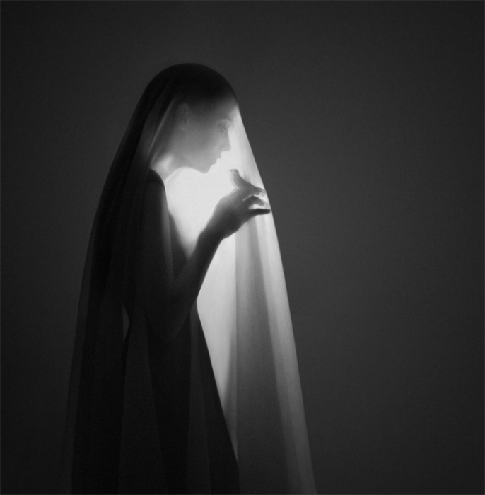   Noell S. Oszvald