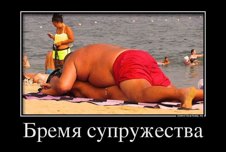 улыбаемся)) или ржём... тут на выбор)))))))))))))))