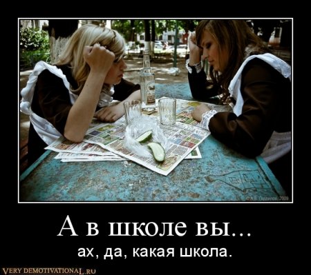 Под стольные демотиваторы!