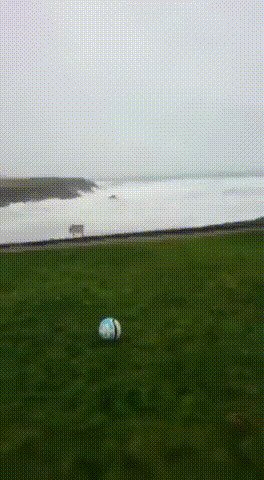 Осторожно, ветрено! gif, ветер, погода, подстава, прикол, сдувает, ураган, шторм, юмор