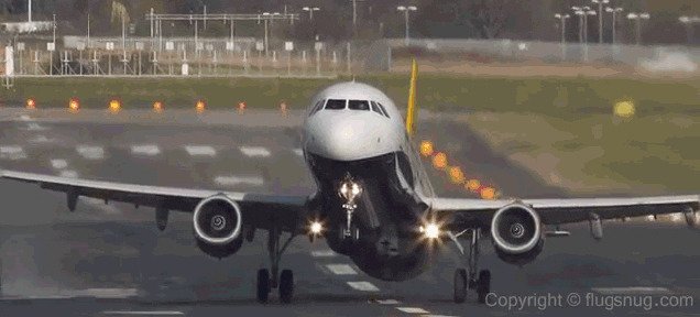 Осторожно, ветрено! gif, ветер, погода, подстава, прикол, сдувает, ураган, шторм, юмор