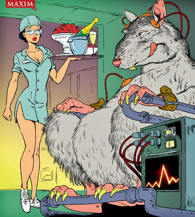 10 самых беспощадных экспериментов над крысами