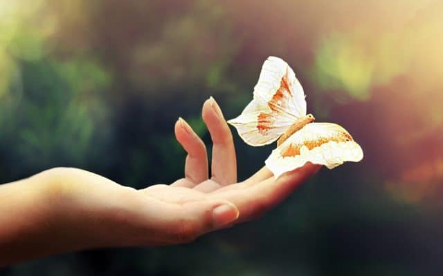 Pravs-J-Creating-A-World-Of-Harmony