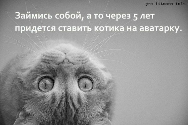 Фитнес-Юмор