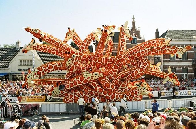 ����������� ��������� ���������� �� ������ Bloemencorso Zundert (13)