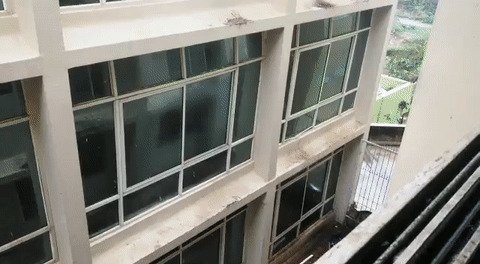 Осторожно, ветрено! gif, ветер, погода, подстава, прикол, сдувает, ураган, шторм, юмор
