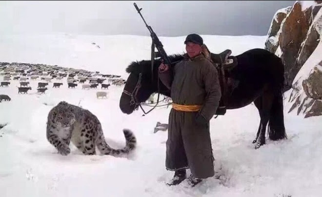 ПОТРЯСАЮЩАЯ, ПОЧТИ ФАНТАСТИЧЕСКАЯ ИСТОРИЯ... ПОТРЯСАЮЩАЯ, ПОЧТИ ФАНТАСТИЧЕСКАЯ ИСТОРИЯ...