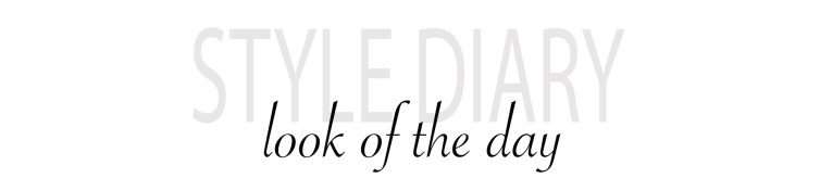 Style Diary Header