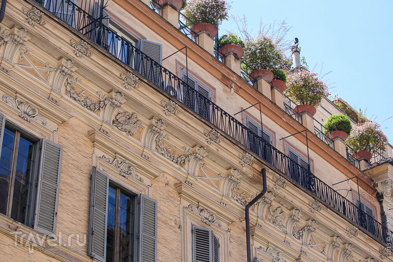 ���, �������. ������ / ���� �� ��������