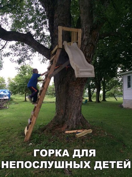 Свежая порция прикольных фотомемов (25 шт) Свежая порция прикольных фотомемов (25 шт)