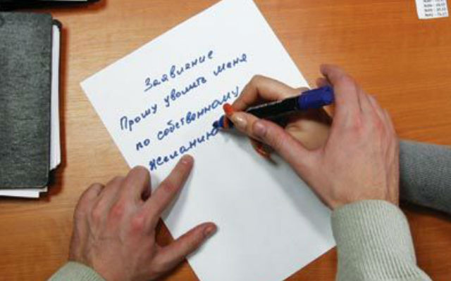 Сколько можно искать работу после увольнения Шута лишь
