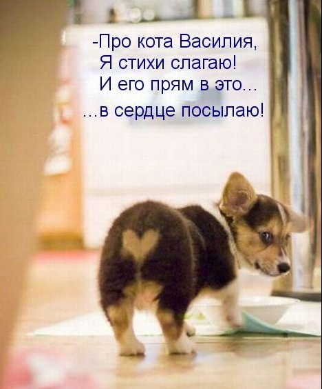 3e76981ef9a0b9bcf3b35edc5d4