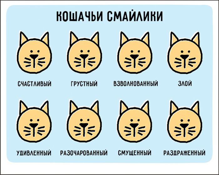 ЗАБАВНЫЕ КОМИКСЫ ДЛЯ ЛЮБИТЕЛЕЙ ИНТЕЛЛЕКТУАЛЬНОГО ЮМОРА ЗАБАВНЫЕ КОМИКСЫ ДЛЯ ЛЮБИТЕЛЕЙ ИНТЕЛЛЕКТУАЛЬНОГО ЮМОРА