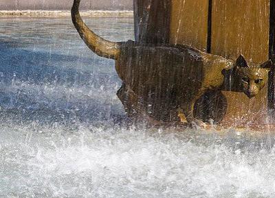 �����, �����, ��������-������, ��������.