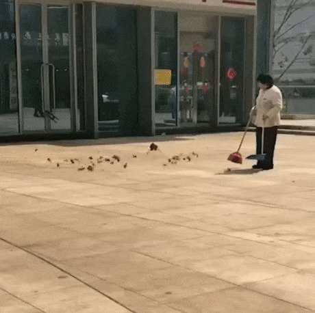 Немного безнадёги gif, ветер, погода, подстава, прикол, сдувает, ураган, шторм, юмор
