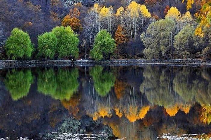 Шикарные отражения в воде (36 фото) Шикарные отражения в воде