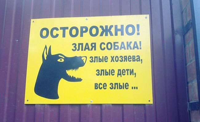 15 творческих объявлений 15 творческих объявлений юмор, креатив, объявления