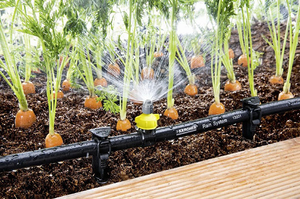 Забота дачника о своих растениях — автоматический полив грядок