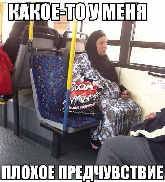 Похожее изображение