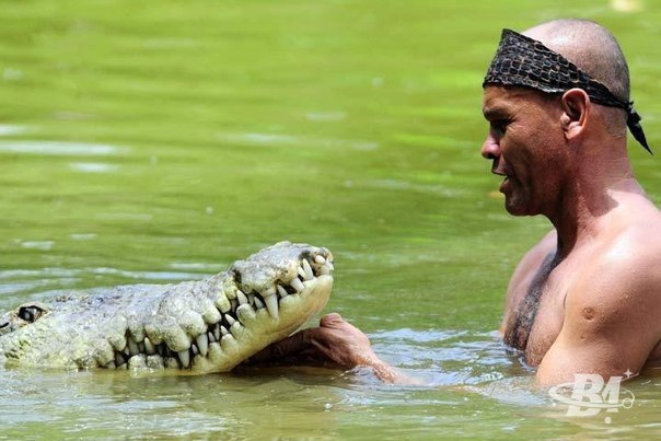 ������, �� ������� ����� �� ����.