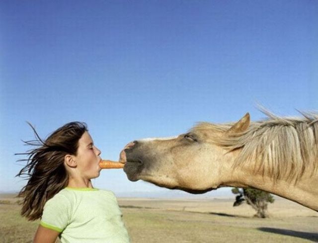 Funny Photos Of People And Animals