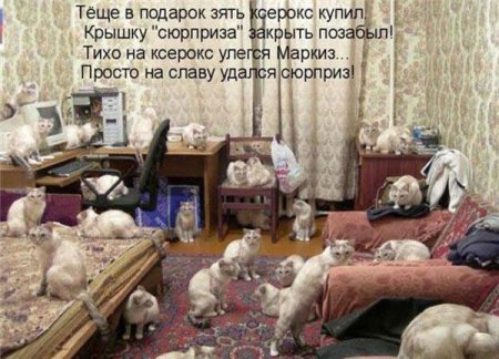Смешные картинки о животных с подписями.